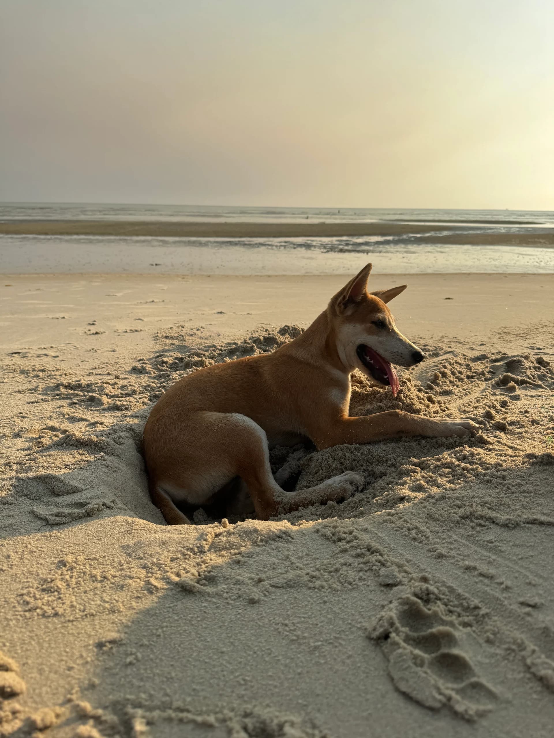 You Only Need 4 Hours